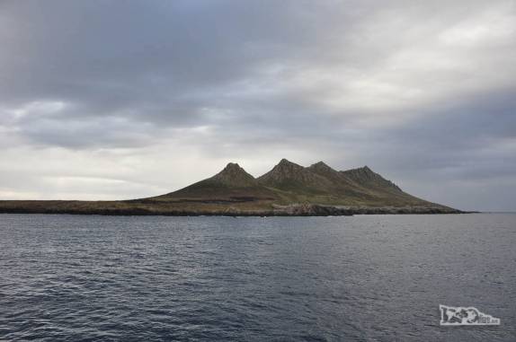 Início da manhã em Steeple Jason, no noroeste das Ilhas Malvinas